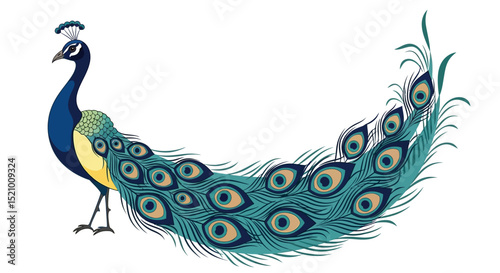 Elegant Peacock with Teal and Blue Plumage Displaying Majestic Train