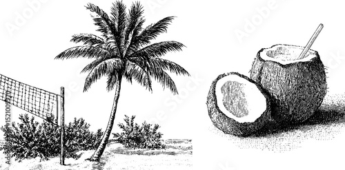 Tropical beach scene with palm tree, volleyball net, and coconut drink