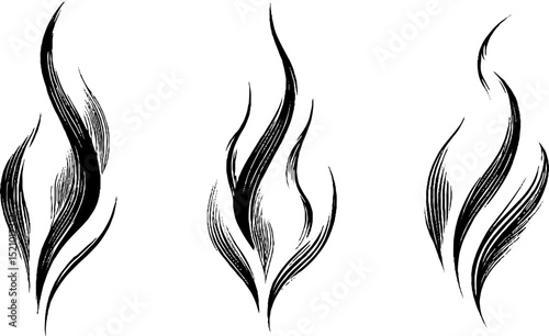 Intricate engraved illustration set of curved flames for design and decoration