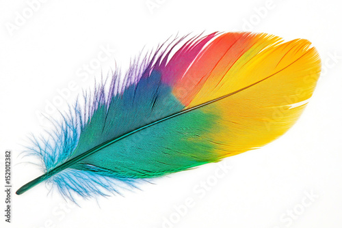 Colorful feather clipart illustration, vibrant, decorative, white background