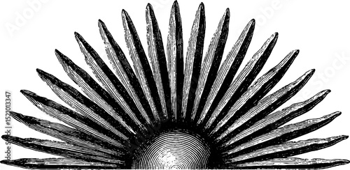 Engraved illustration of curved rays and spiked design for art and print projects