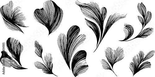 Elegant curvilinear petals design for artistic and botanical projects