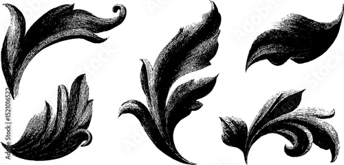Elegant engraved illustration set of delicate floral tendrils for decorative design