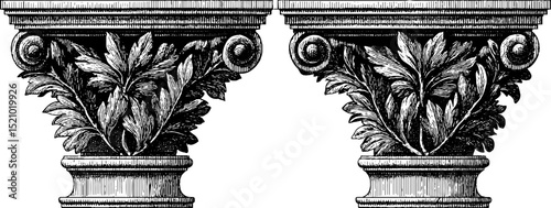 Engraved classical column capitals with intricate leaf designs for historical architecture themes