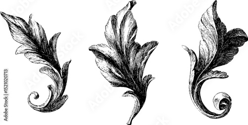 Elegant tendrils engraving set for decorative designs and art projects