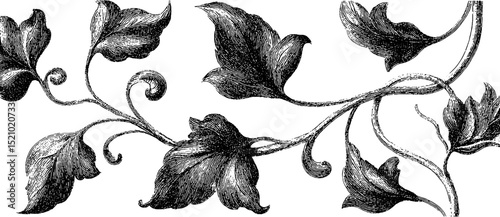 Elegant engraved tendrils illustration set for decorative design and art