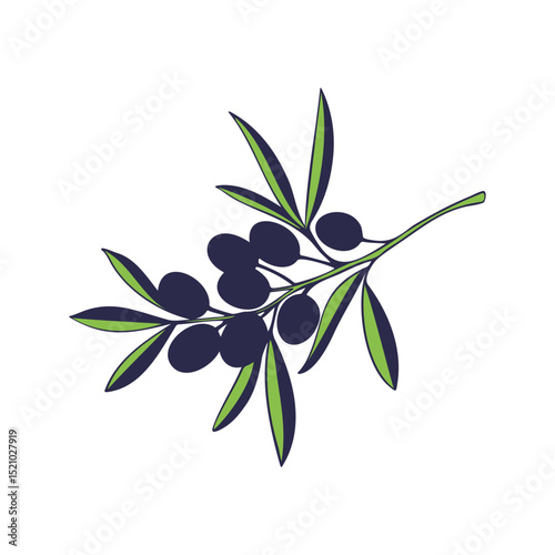 Olive branch stylized drawing, icon logo label, element design, isolated on white background.