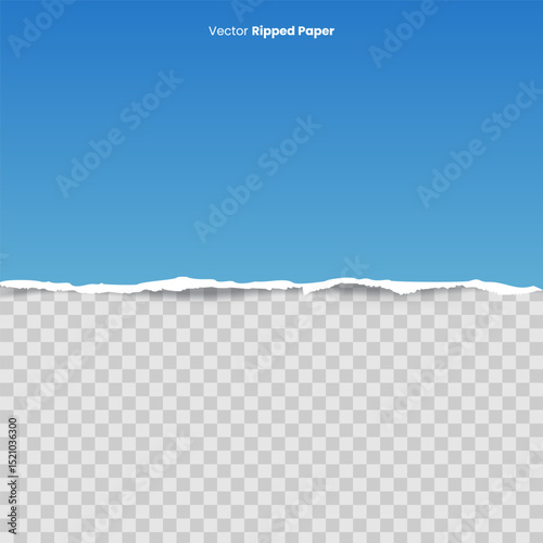 Single torn paper edge at the top, revealing the background underneath. Ideal for clean, minimalistic design with a subtle torn effect.