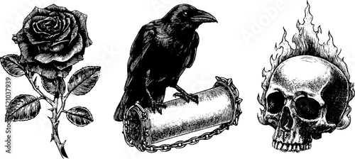 Engraved illustration of metal rose, raven on cylinder, and flaming skull art set