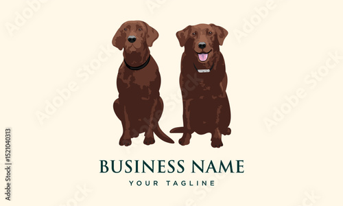 Two Chocolate Labs Facing Forward.