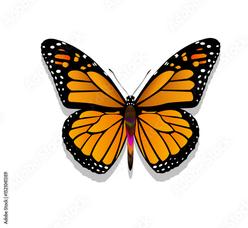 Detailed vector illustration of a Monarch butterfly with vibrant orange and black wings. Perfect for nature-themed designs, educational materials, and creative graphic projects. Editable AI format wit