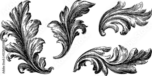 Elegant engraved floral motifs for organic design and art projects