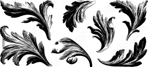 Intricate ornamental floral elements for artistic design and decoration