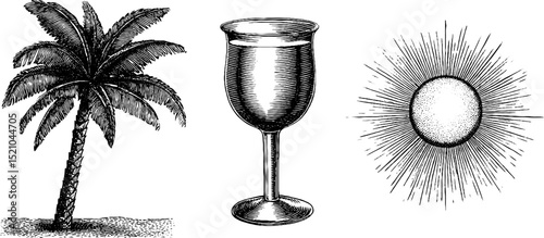 Engraved tropical palm tree, cocktail glass, and sunburst illustration set for design
