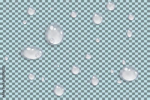 Rain water drops falling on transparent background. Realistic clear water, water drops for creative banner design. Vector.