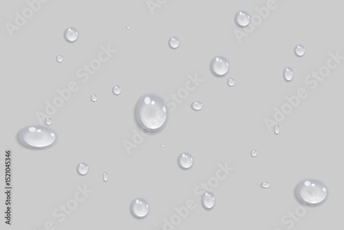 Rain water drops falling on transparent background. Realistic clear water, water drops for creative banner design. Vector.