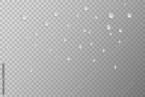 Rain water drops falling on transparent background. Realistic clear water, water drops for creative banner design. Vector.