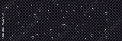 Rain water drops falling on transparent background. Realistic clear water, water drops for creative banner design. Vector.