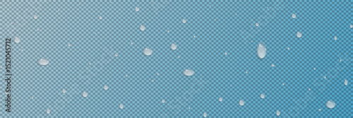 Rain water drops falling on transparent background. Realistic clear water, water drops for creative banner design. Vector.