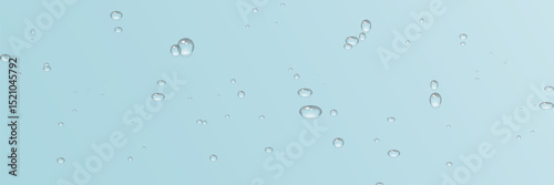 Rain water drops falling on transparent background. Realistic clear water, water drops for creative banner design. Vector.