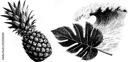Engraved tropical elements: pineapple, monstera leaf, and ocean wave design for art projects