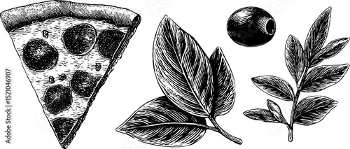 Engraved food art: pizza slice and olive with leaf elements for culinary design