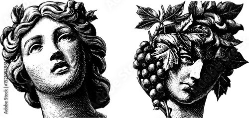 Engraved illustration set of sculpted female busts with classic artistic details