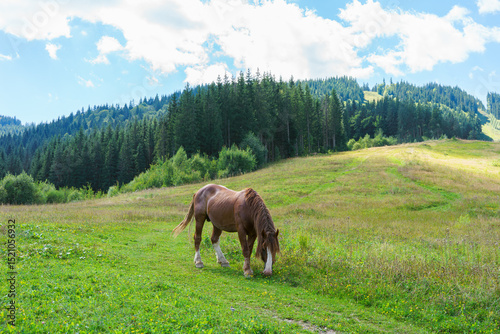 Brown horse calmly grazes in lush green meadow under bright blue sky. Mountainous terrain and dense forests create serene background and tranquility of rural life landscape.