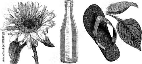 Vintage engraved illustration of sunflower, lemonade bottle, and flip flop for summer design