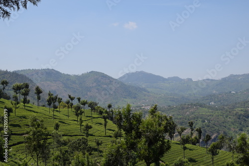 MOUNTAINS IN OOTY photo