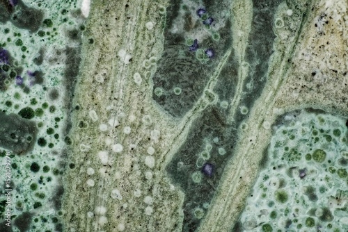 Microphotograph of a polished tinguaite slice. Scale of shooting 10X. Frame width 6 mm