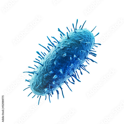 Salmonella bacterium flagella are only in the lower png