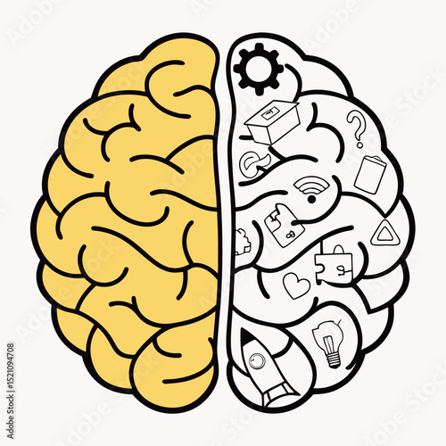 Brain Halves Illustration Analytical Versus Creative Thinking
