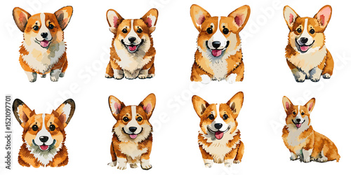 Multiple vector illustrations Welsh Corgi, watercolor style

