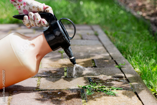 Weed Killer Spray and Solutions. Spraying Weeds in Paving Slab Blocks. Get Rid of Weeds or Remove Weed from Pavers.  Copy Space. 
