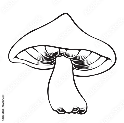 mushroom line art style vector illustration