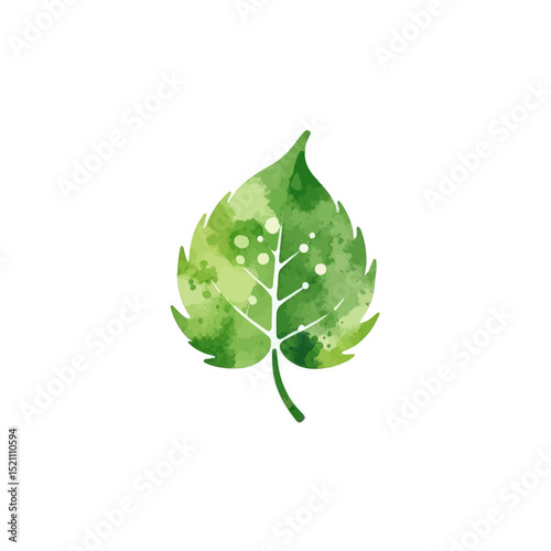 Watercolor-Green-Leaf-Isolated-on-White