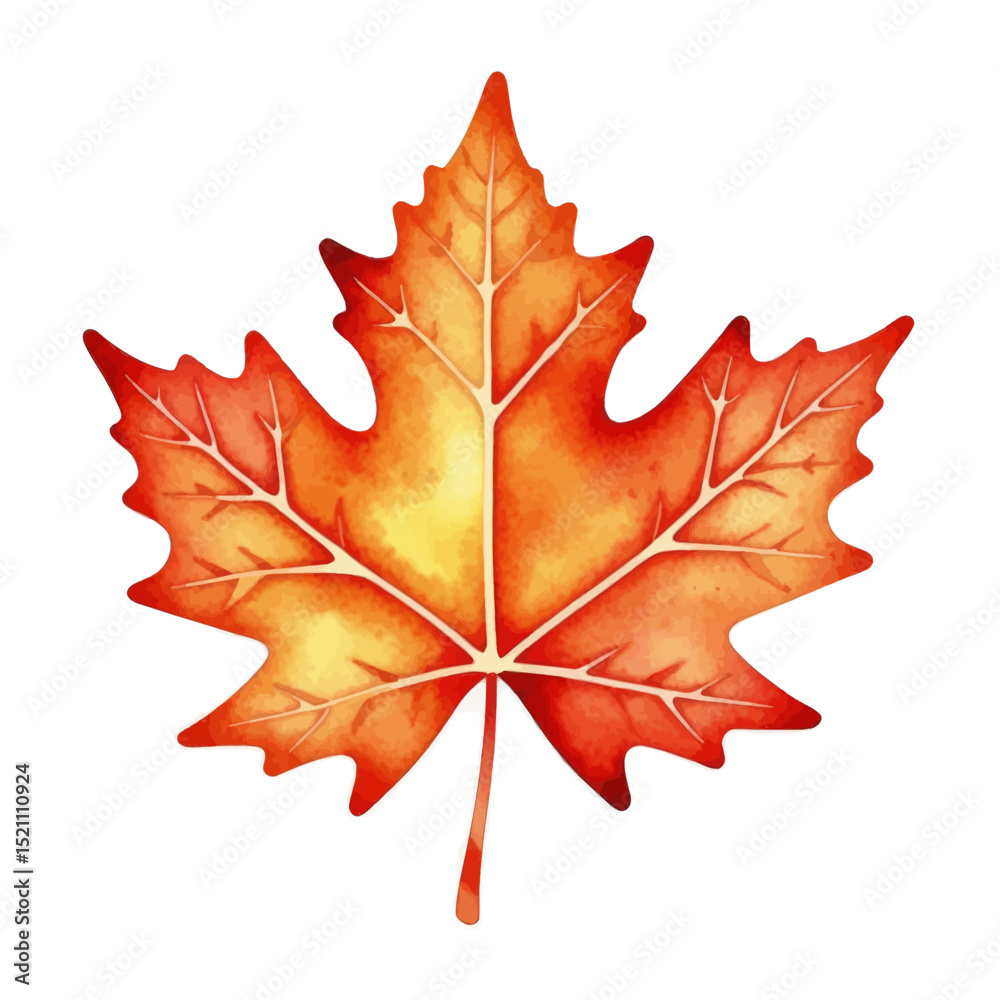 Fototapeta premium Watercolor-Maple-Leaf-Autumn-Fall-Red-Orange
