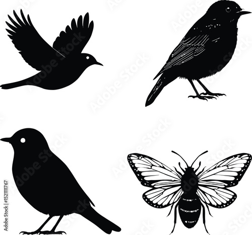 Set of Solid Black Animal Silhouettes: Flying Bird, Perched Birds with Eyes, and a Detailed Butterfly/Moth