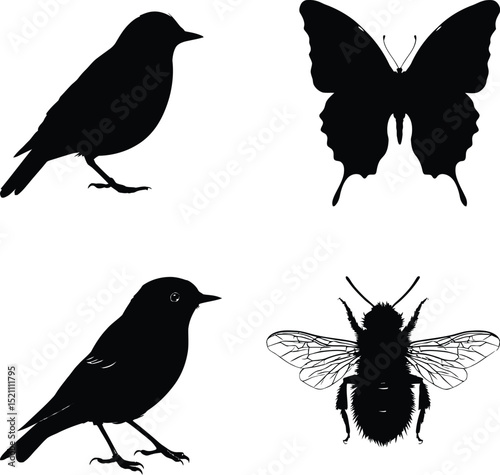 Set of Solid Black Animal Silhouettes: Two Birds (Possibly Robins), a Butterfly, and a Bumblebee