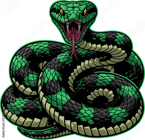 Green snake on white background