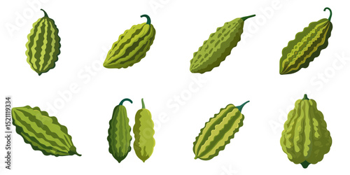 Multiple vector illustrations bitter melon, flat style

