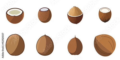 Multiple vector illustrations coconut, flat style
