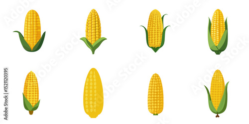 Multiple vector illustrations corn, flat style
