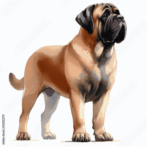 Velvet Thunder dog English Mastiff isolated watercolor vector illustration svg