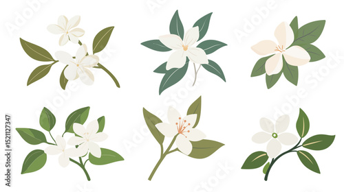 Graceful jasmine bloom icon featuring fine delicate petals and elegant design, ideal for botanical illustrations, natural skincare labels, floral motifs, minimalist emblems, and herbal cosmetic 