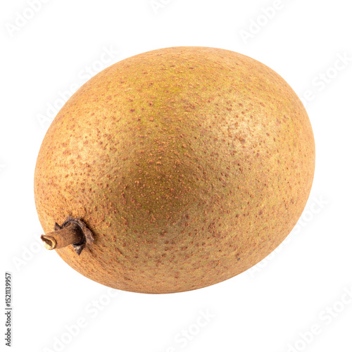 Brown sapodilla fruit on transparency background