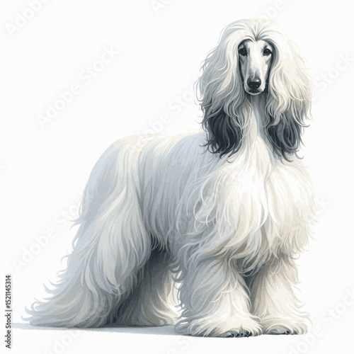 Gilded Dune Glow dog afghan hound isolated watercolor vector illustration svg