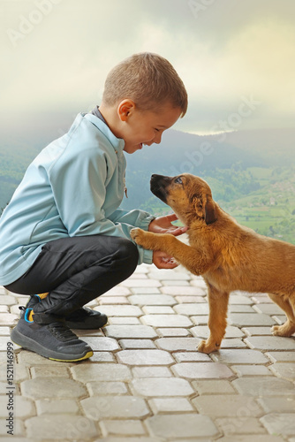 A little boy holds a dog by the paw. High quality photo