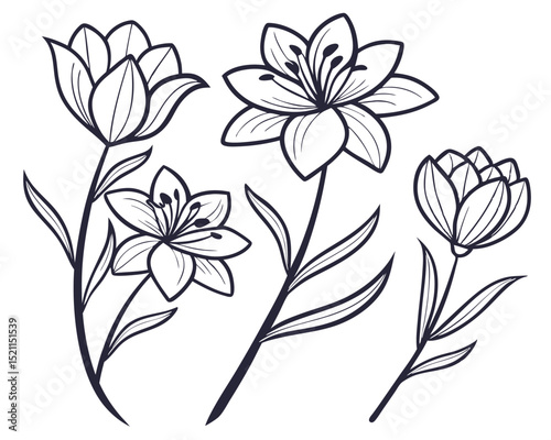 Set of Elegant Black Line Art Flowers
